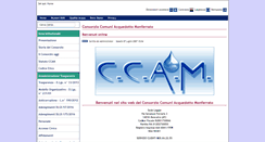 Desktop Screenshot of ccam.it